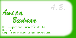 anita budnar business card
